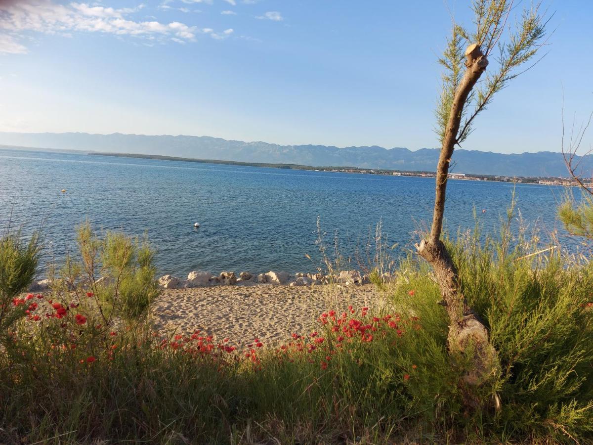 Apartmani Sunside Nin Exterior foto
